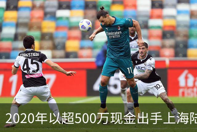 2020年以超500万现金出手上海陆家嘴65平小房，换父母惠南镇养老住房，究竟收益有多大？